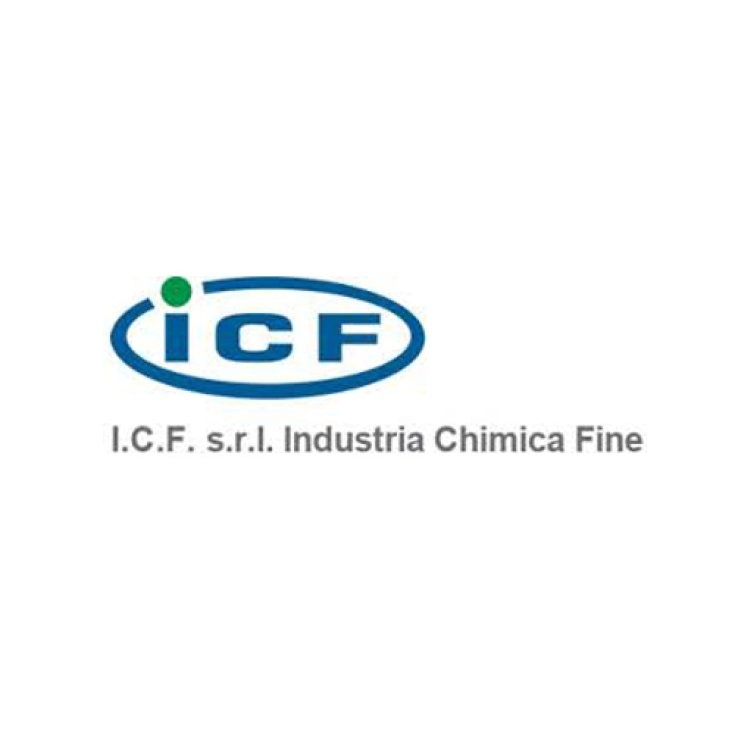 I.C.F. srl